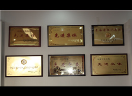 歷年榮獲資質(zhì)