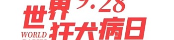 世界狂犬病日9.28