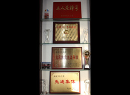 歷年榮獲資質(zhì)